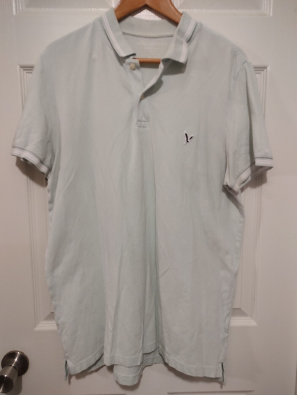 American Eagle Outfitters Mint Green Polo with White-Trim
